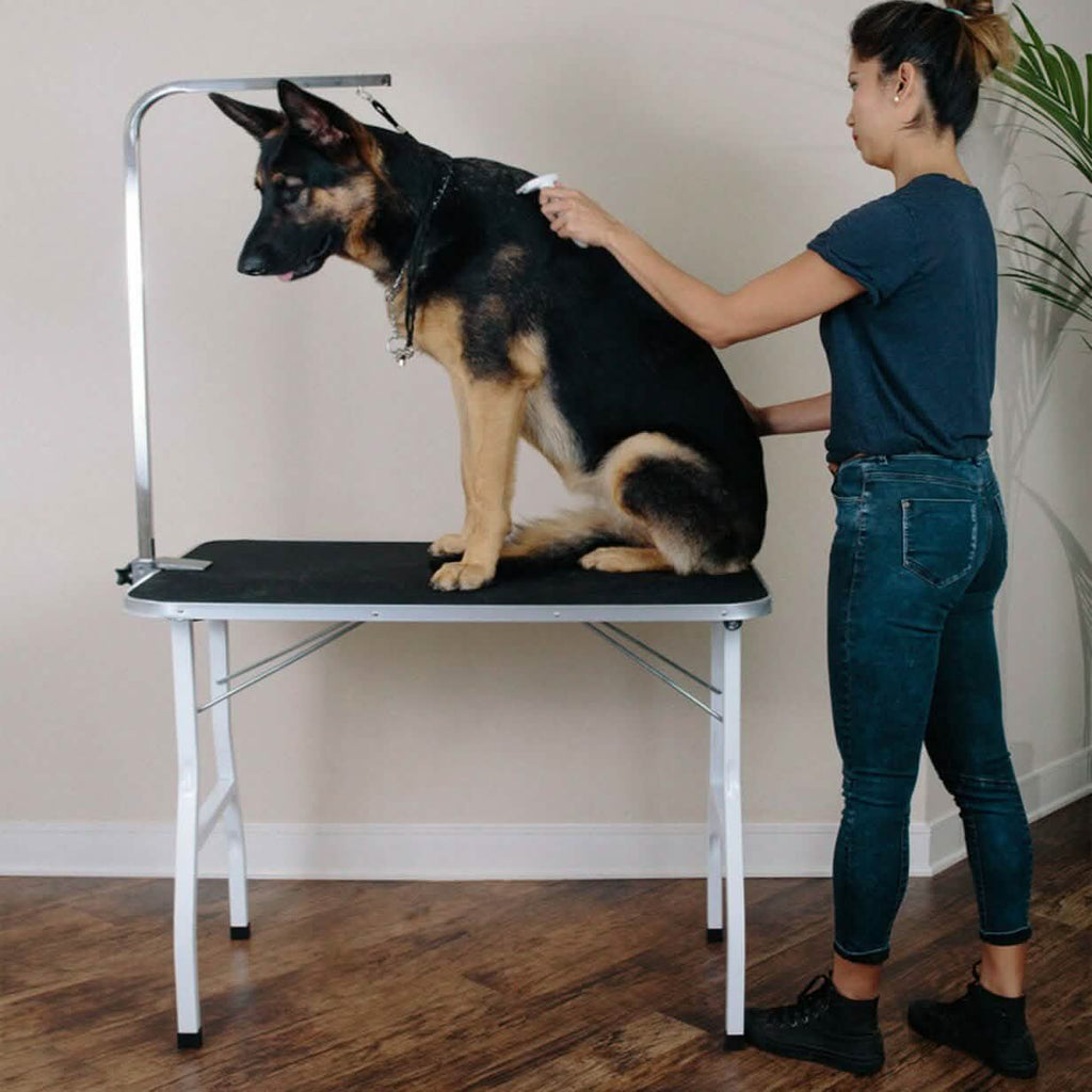 Table de toilettage pliable pour animaux Oxgord 36"