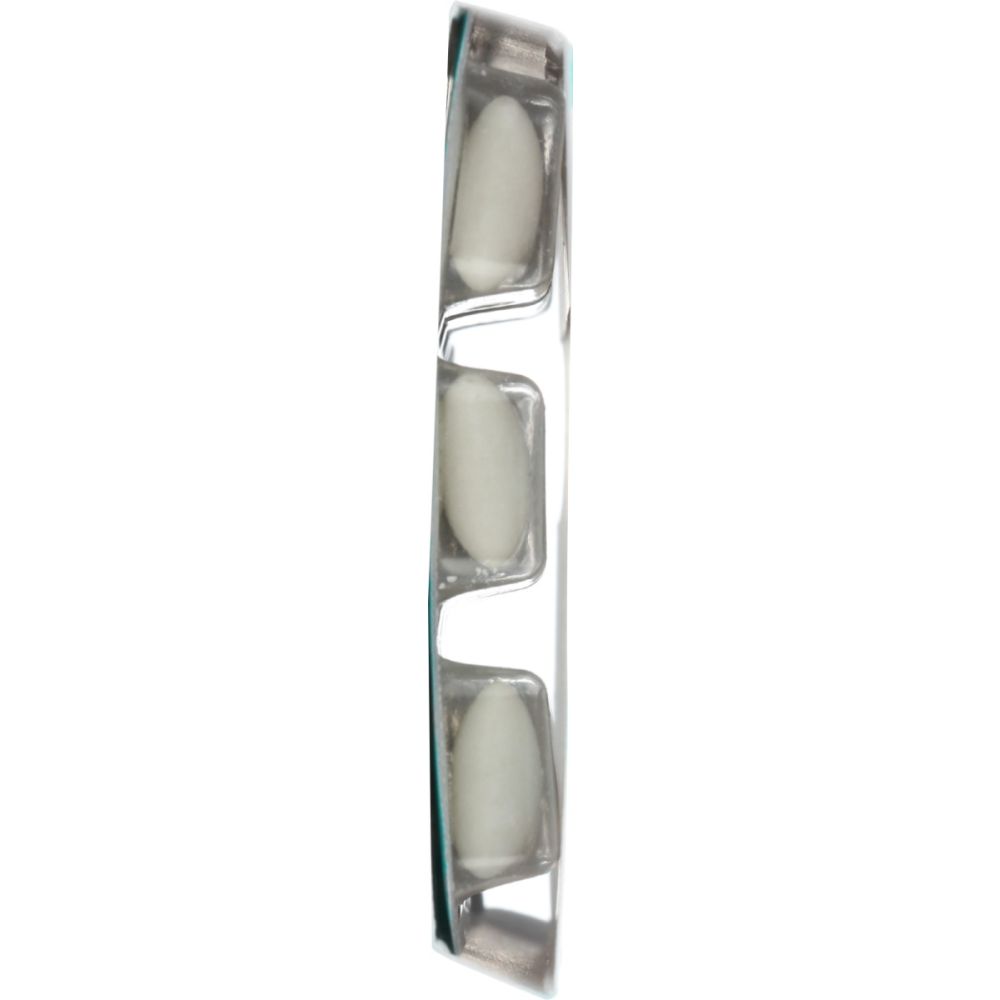 PUR: Wintergreen Gum Blister Tray, 9 pc