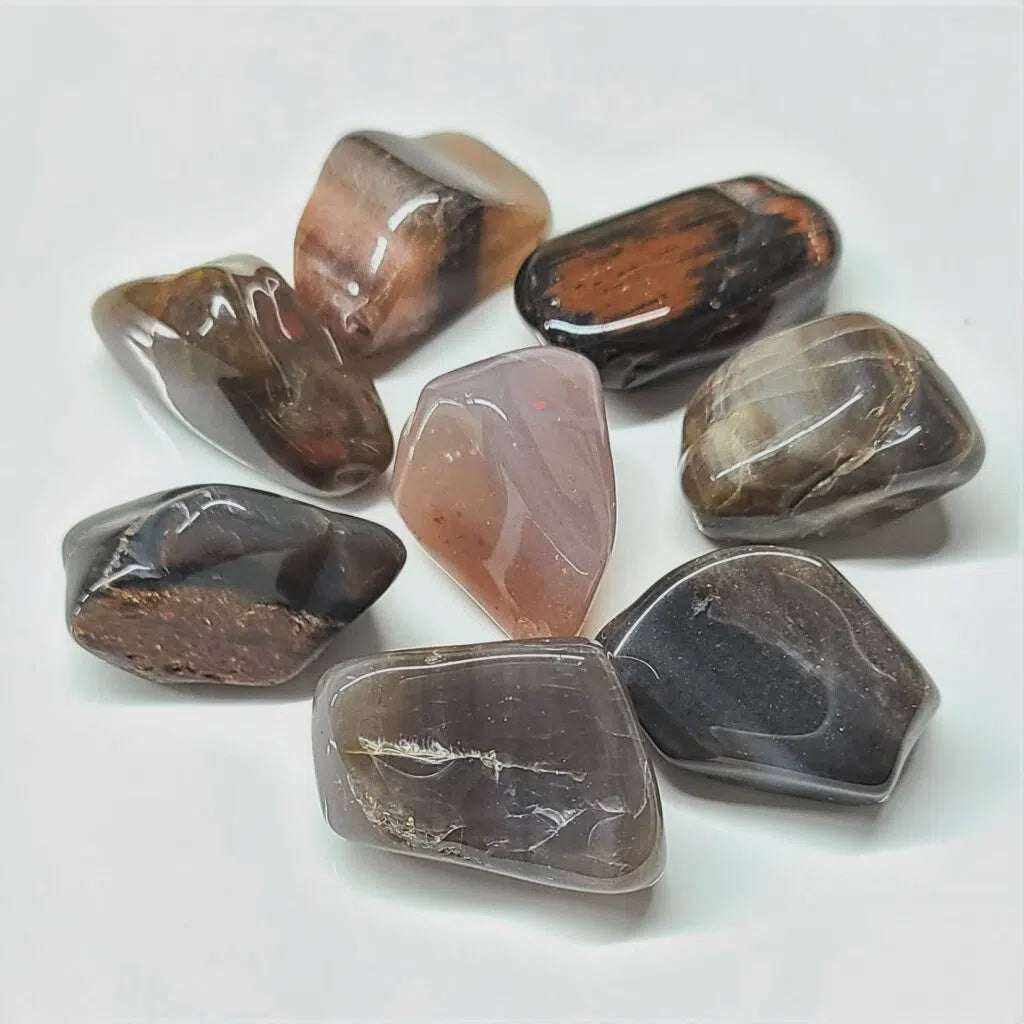 Petrified Wood Tumbled Stone