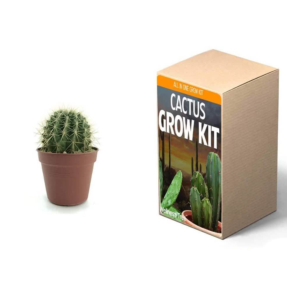 Plant Your Own Garden Grow Kit