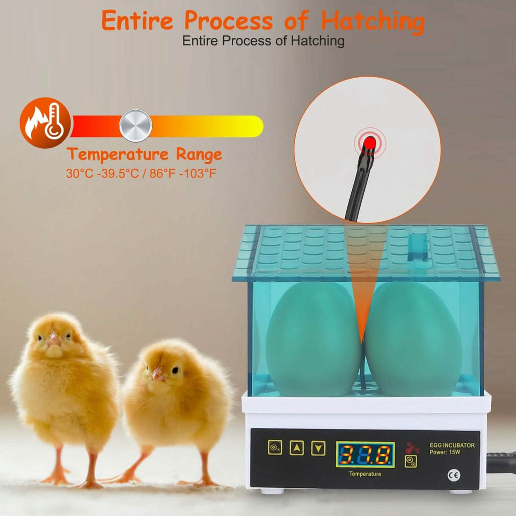Professional Poultry Hatcher with Digital Display Automatic Temperature Humidity