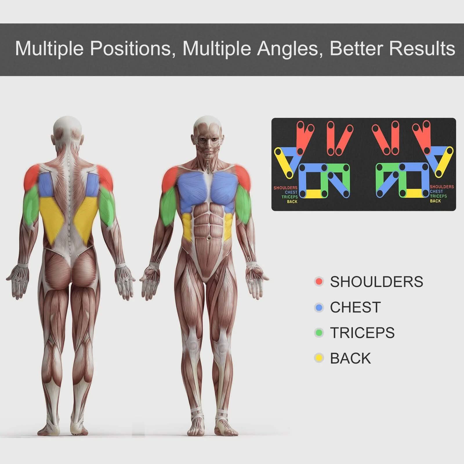 Barres de pompes en S pour exercices de fitness en salle de sport avec tapis d'entraînement de pompes