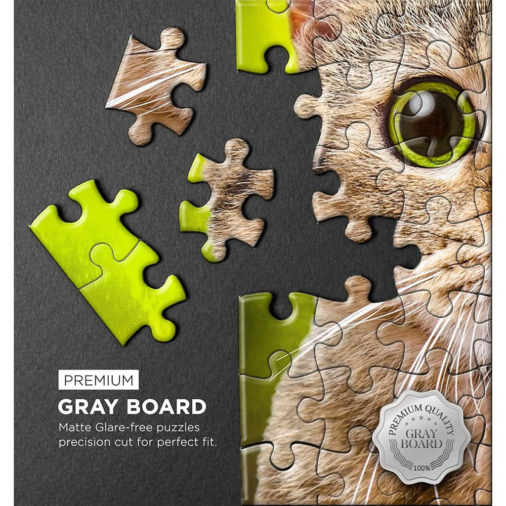 Puzzle with Puzzle Saver Kit