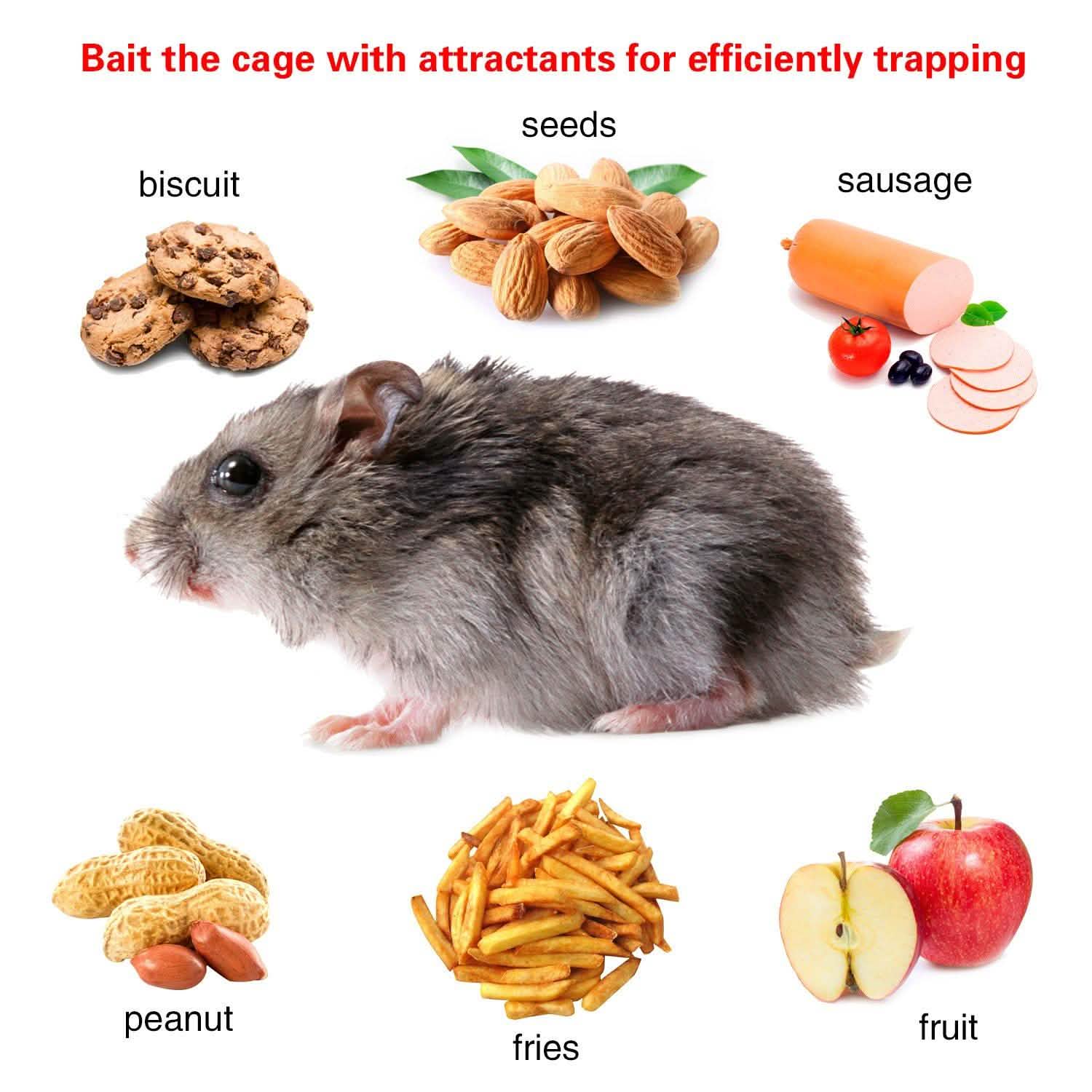 Rat Trap Cage Humane Live Rodent