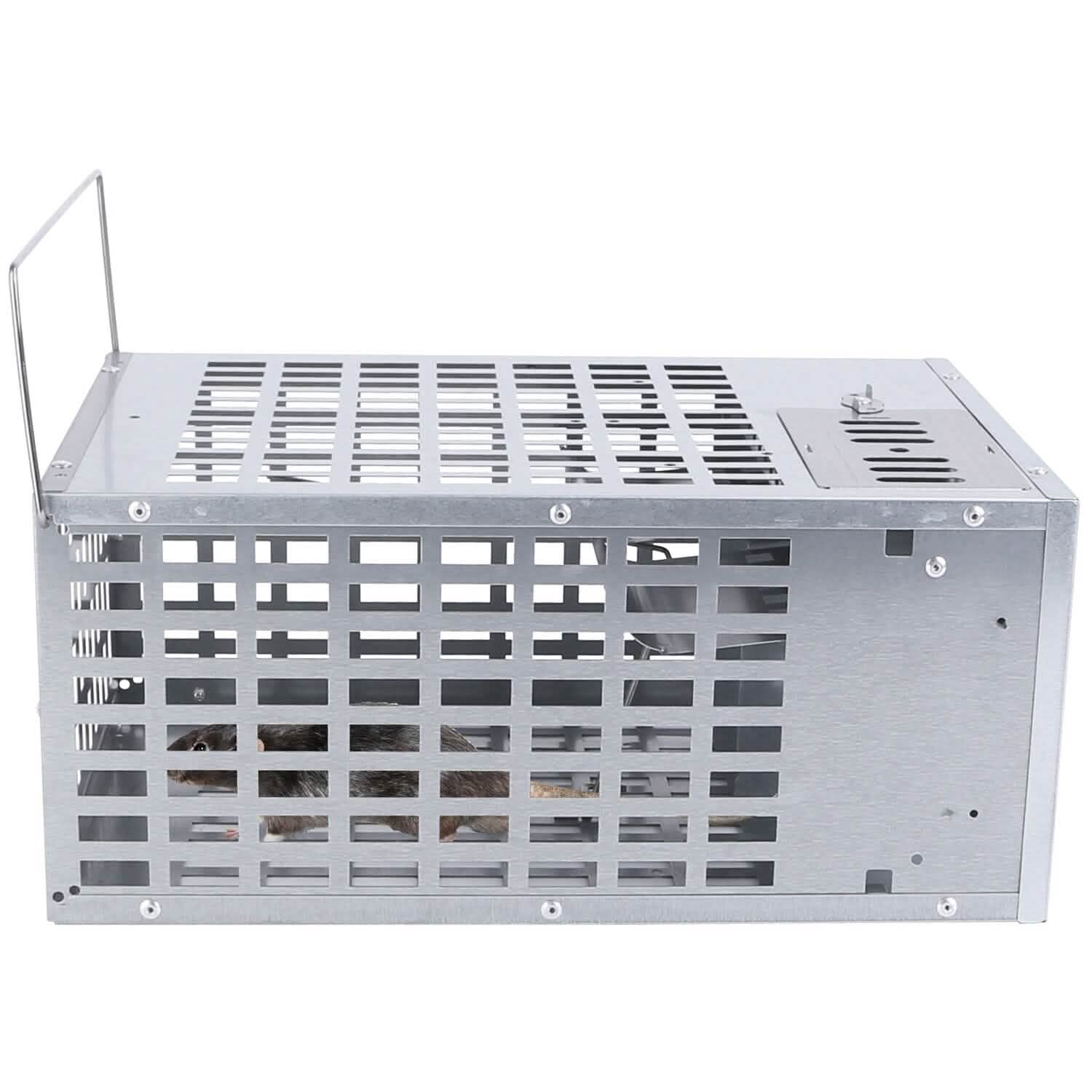 Reusable Metal Rat Cage Catch Release Continuous Capture
