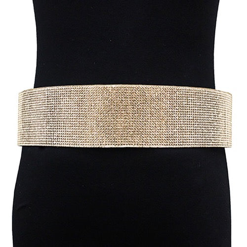 Rhinestone Pave Embellished Metal Waist Belt