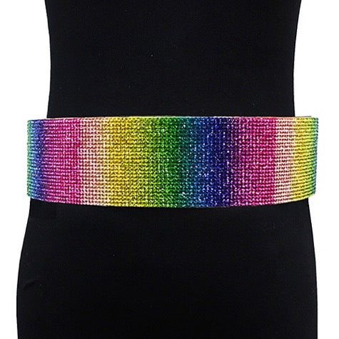Rhinestone Pave Embellished Metal Waist Belt