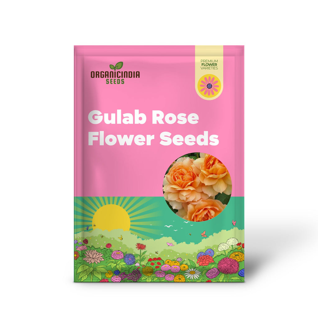 Graines de fleurs Gulab Rose (Lotus Orange) pour la plantation, graines de haute qualité pour des floraisons éclatantes