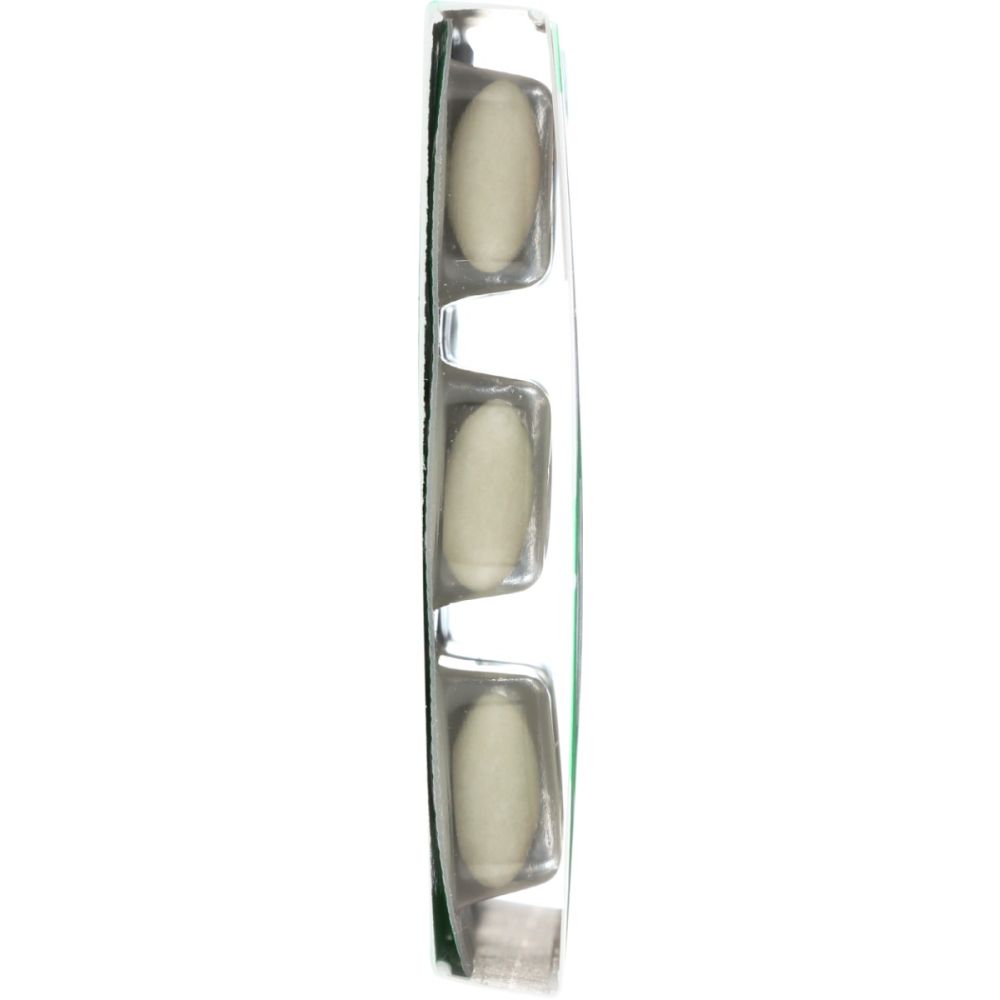 PUR: Spearmint Gum, 9 pc