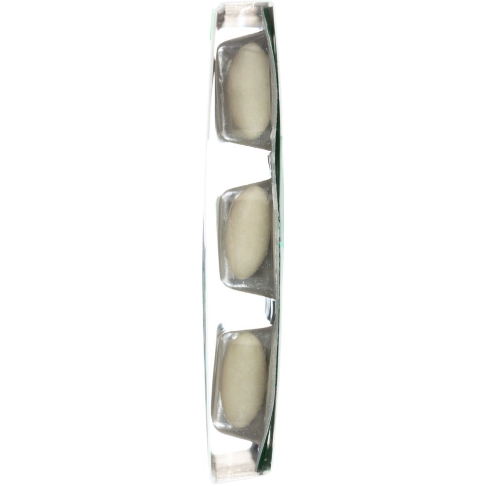 PUR: Spearmint Gum, 9 pc