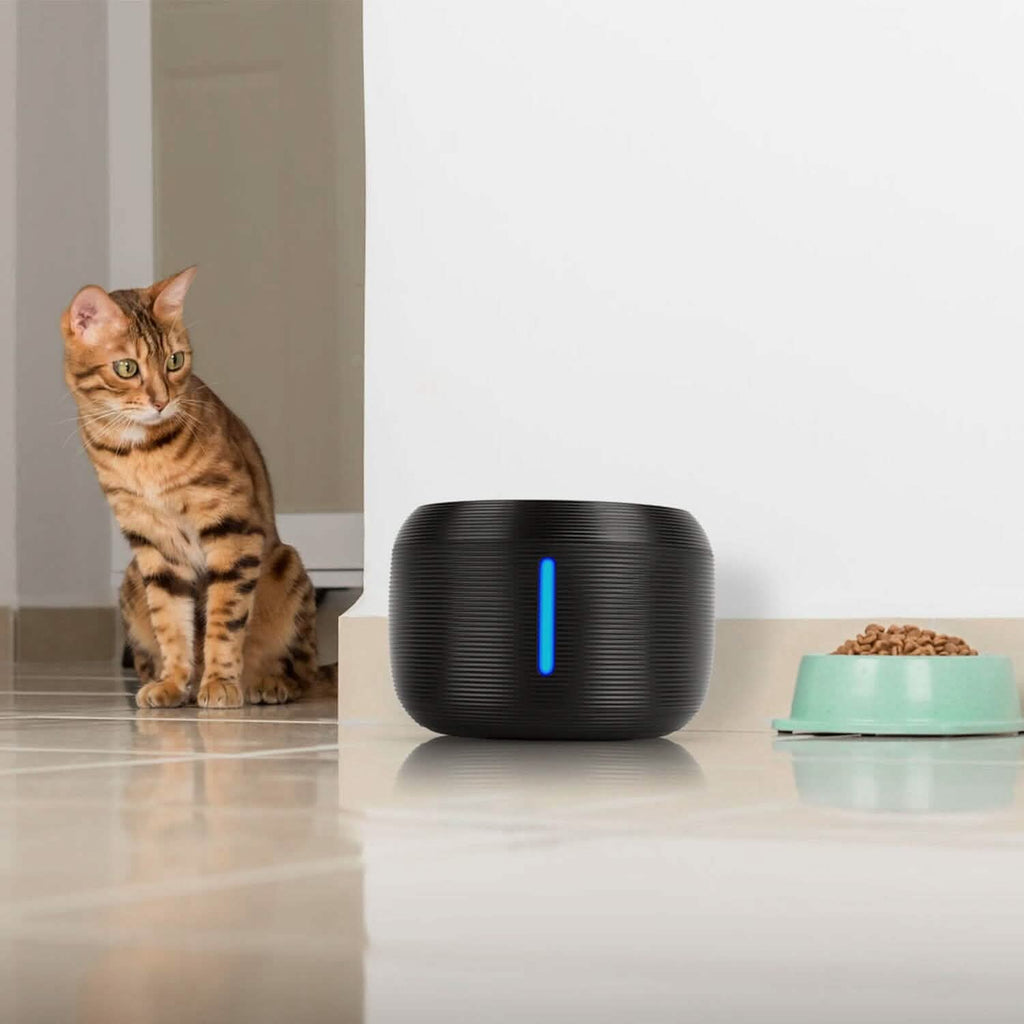 Smart Pet Drinking Fountain with LED Light 7-Pack Replaceable Water Filters