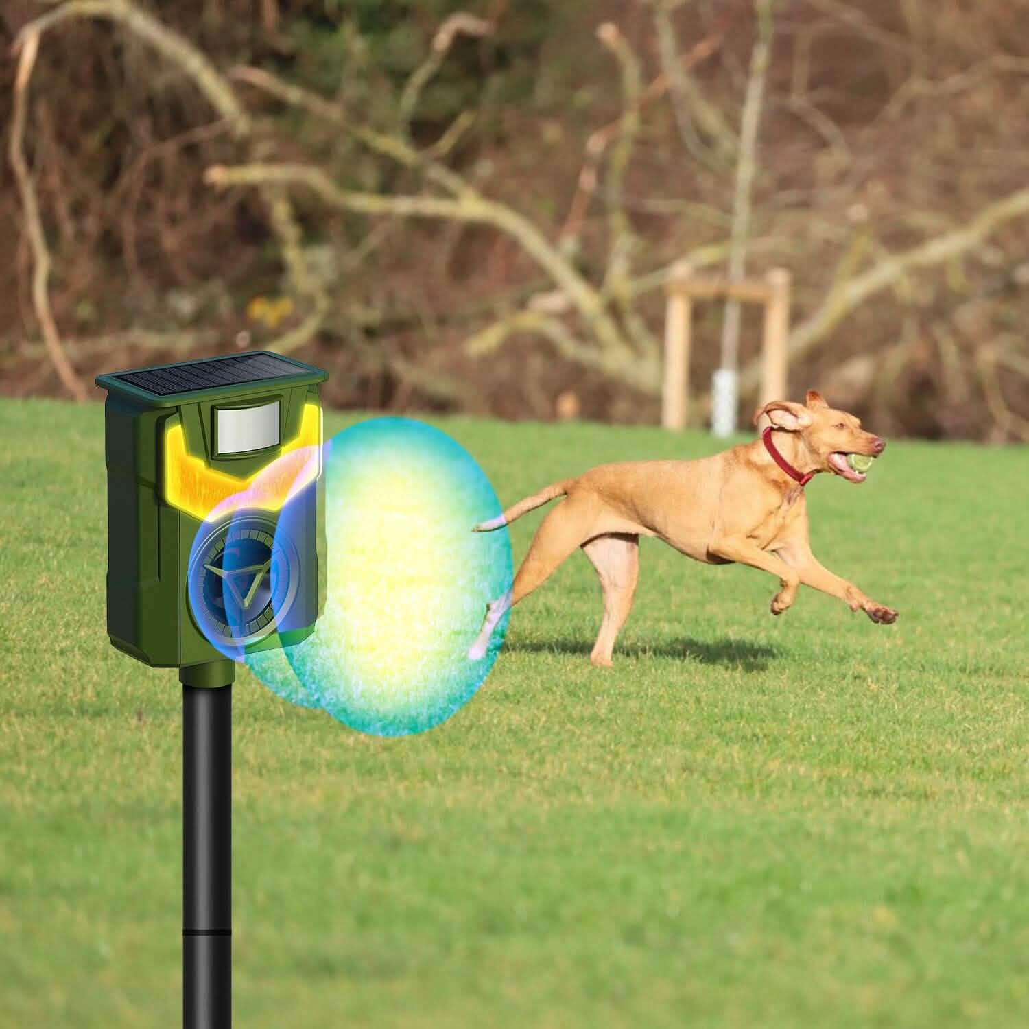Solar Ultrasonic Animal Repeller with Flame Light USB Charge Motion Sensor