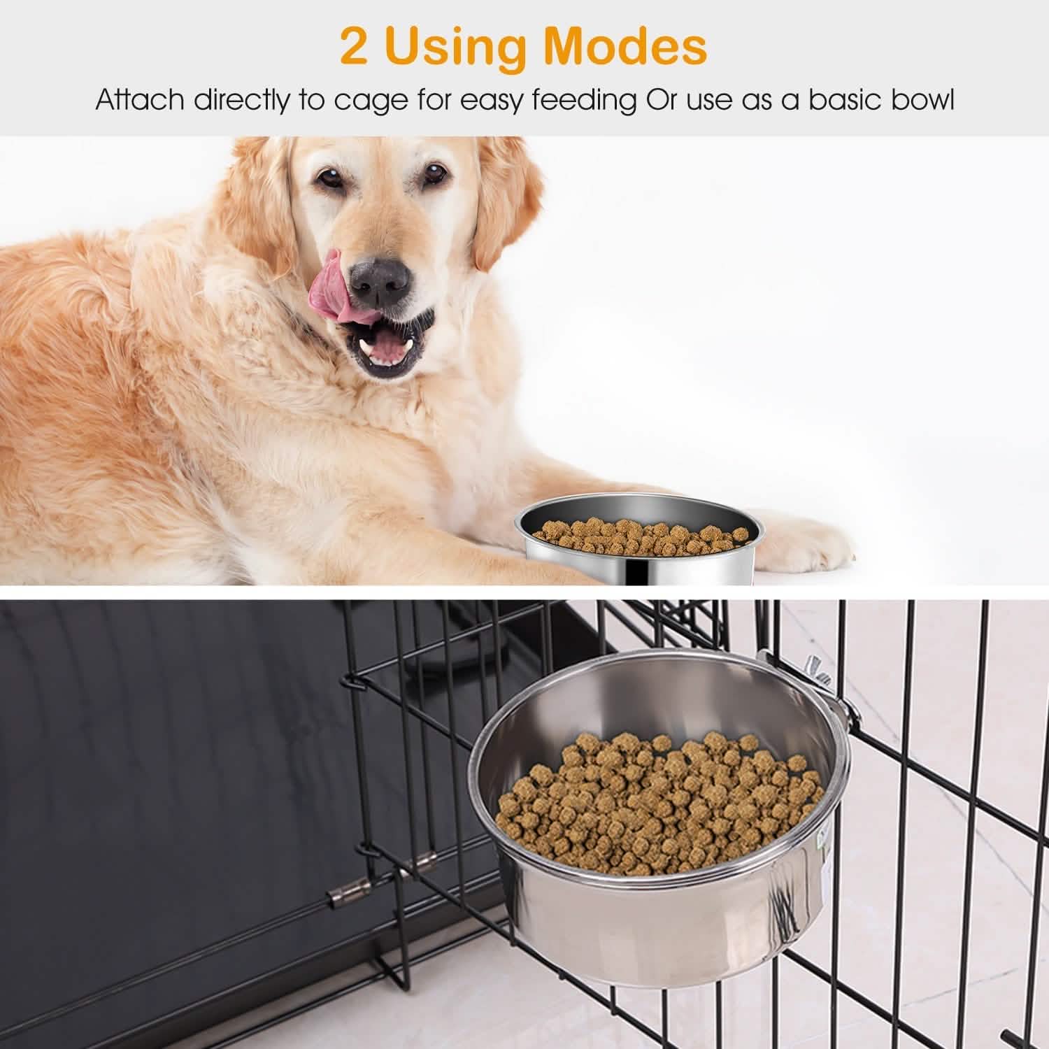 Gamelle pour chien en acier inoxydable