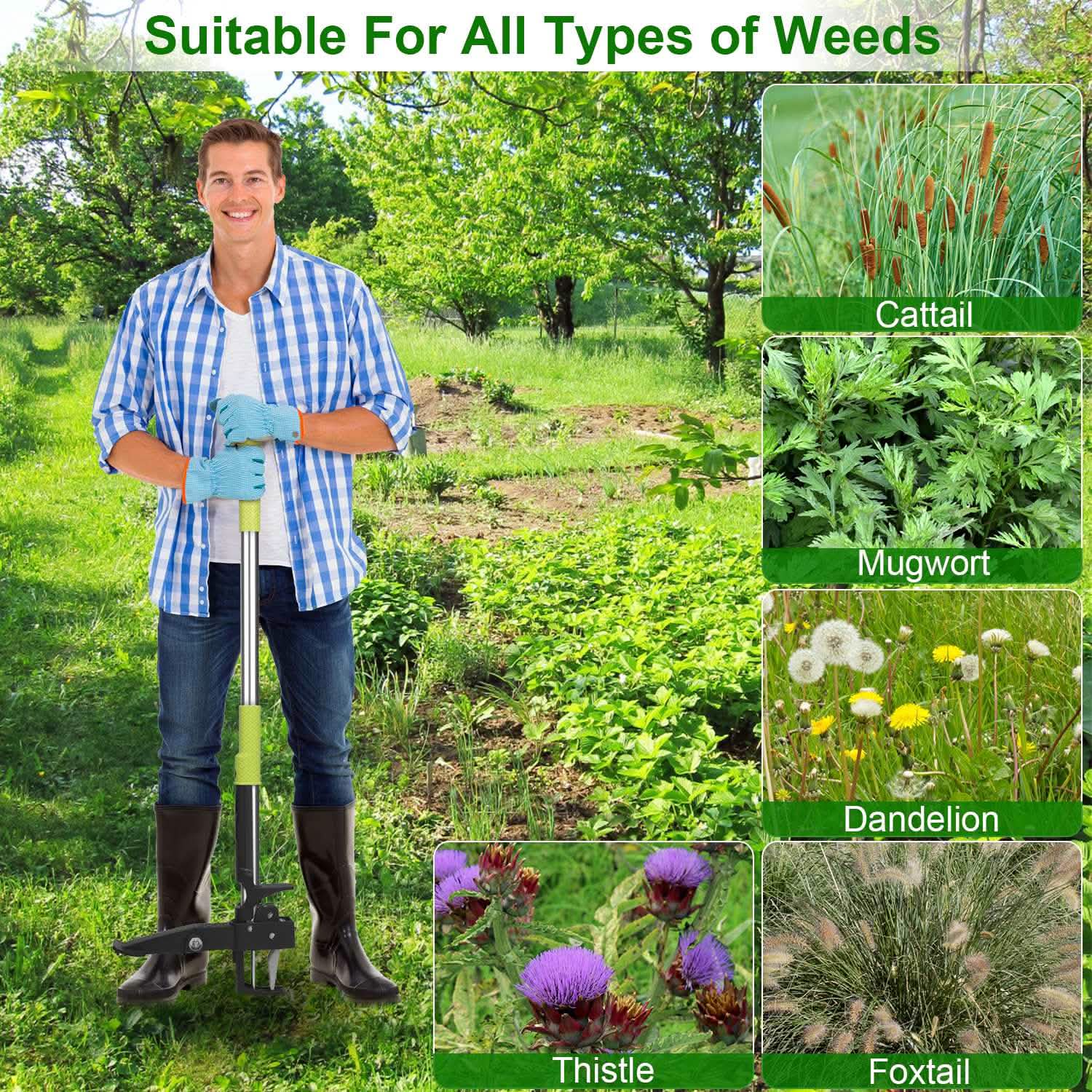 Arrache-mauvaises herbes sur pied en aluminium à 4 griffes