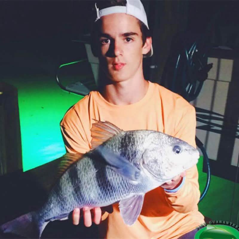 Sunbeam LED Fishing Light