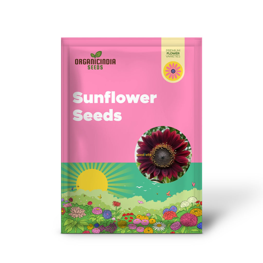 Graines de tournesol rouge foncé pour plantation – Ajoutez des fleurs audacieuses et éclatantes à votre jardin