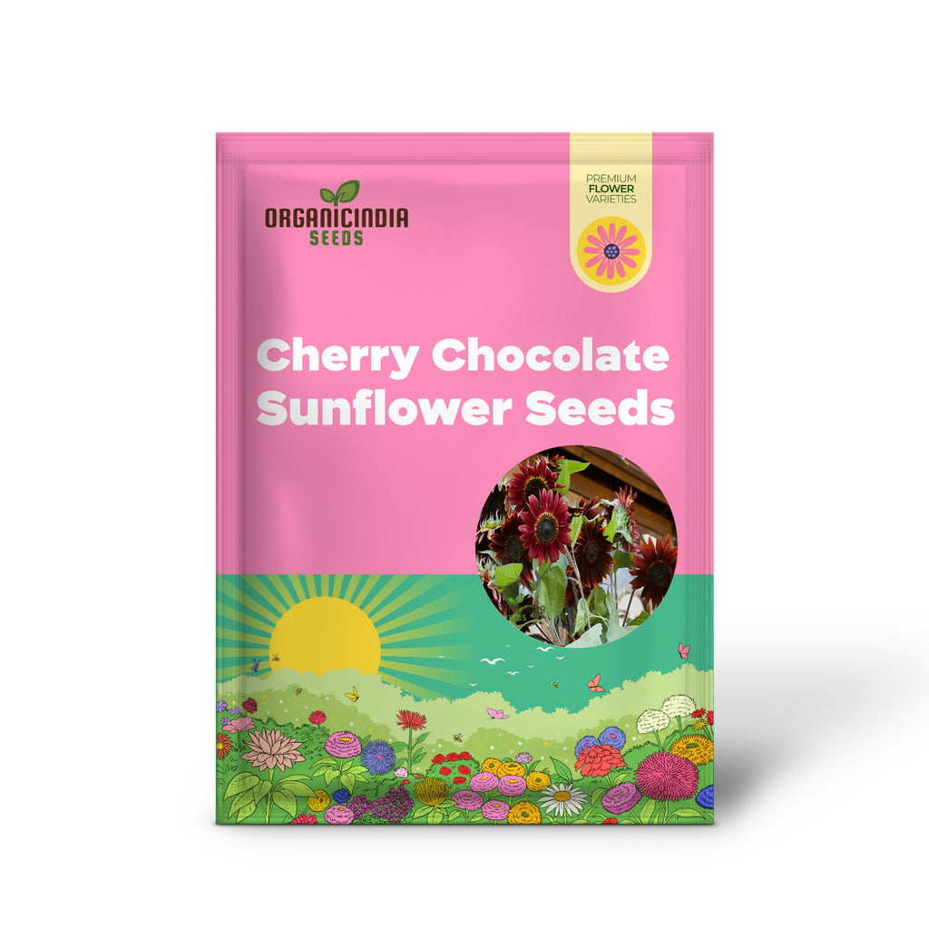 Cherry Chocolate Sunflower Seeds – Vibrant Garden Blooms