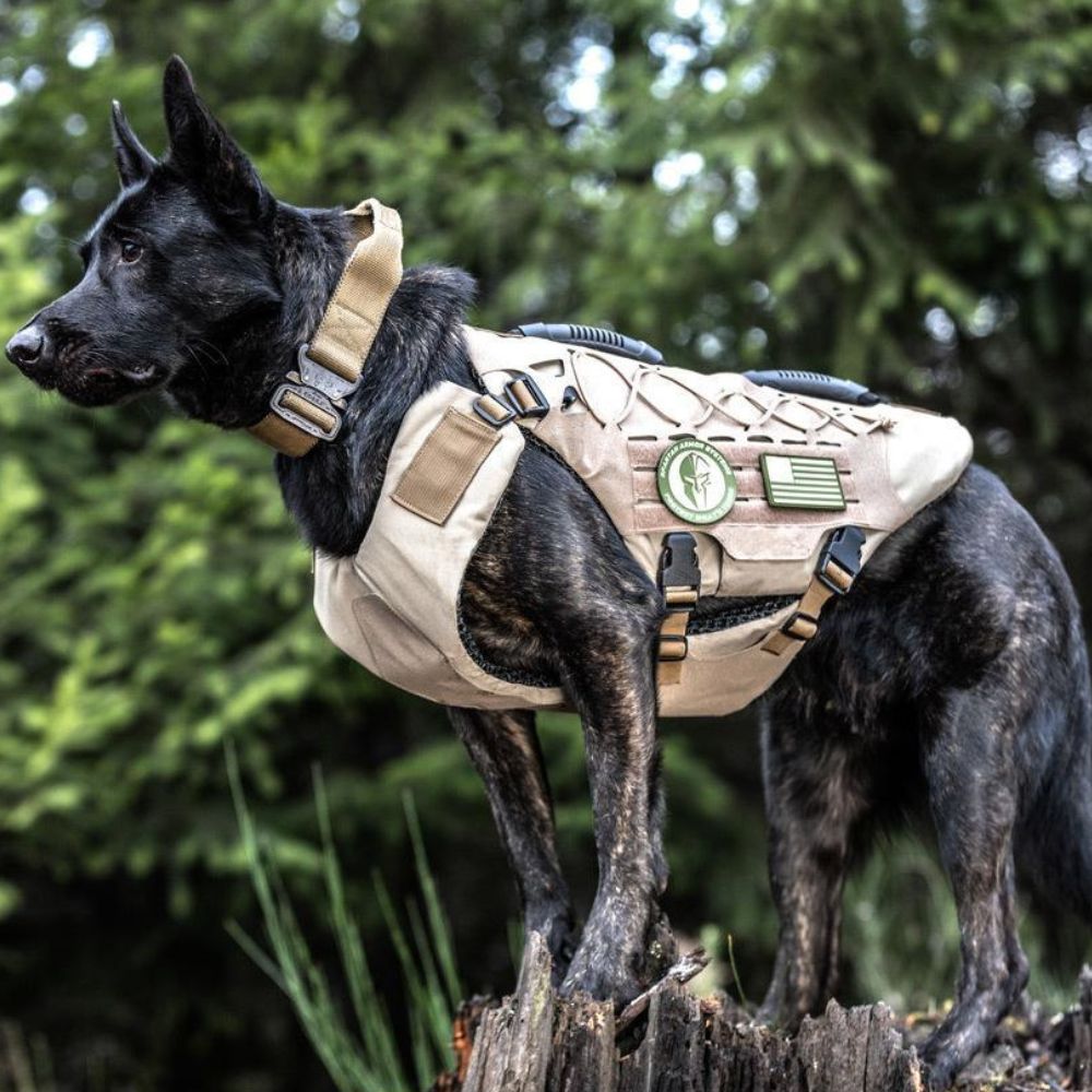 Titan K-9 Vest (Harness only)