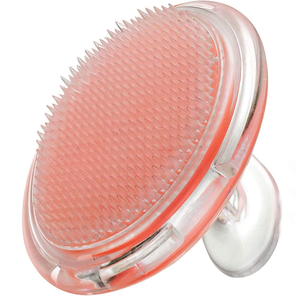 Brosse à shampoing transparente en silicone Masseur de cuir chevelu Peigne lissant