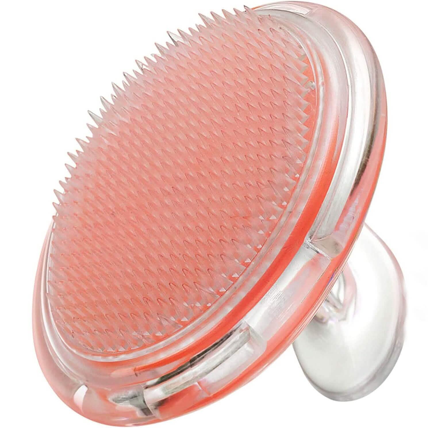 Brosse à shampoing transparente en silicone Masseur de cuir chevelu Peigne lissant