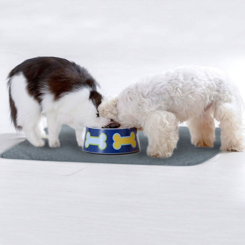 Washable Dog Pee Pad Reusable Puppy Potty Training Pads