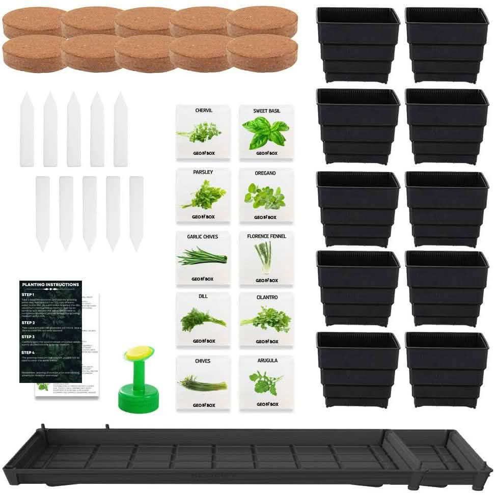 Windowsill Garden Herb Kit