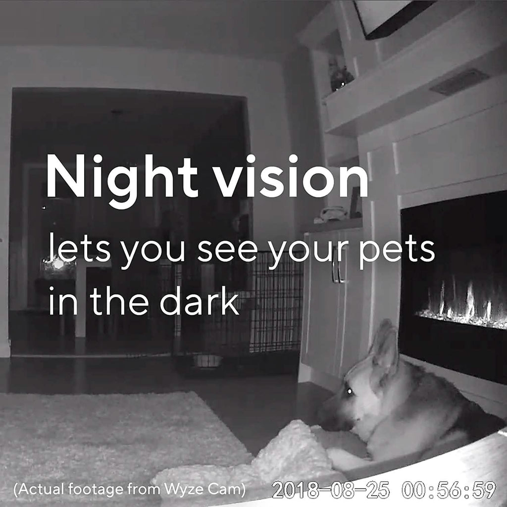 Wyze Cam V2 (Refurbished)