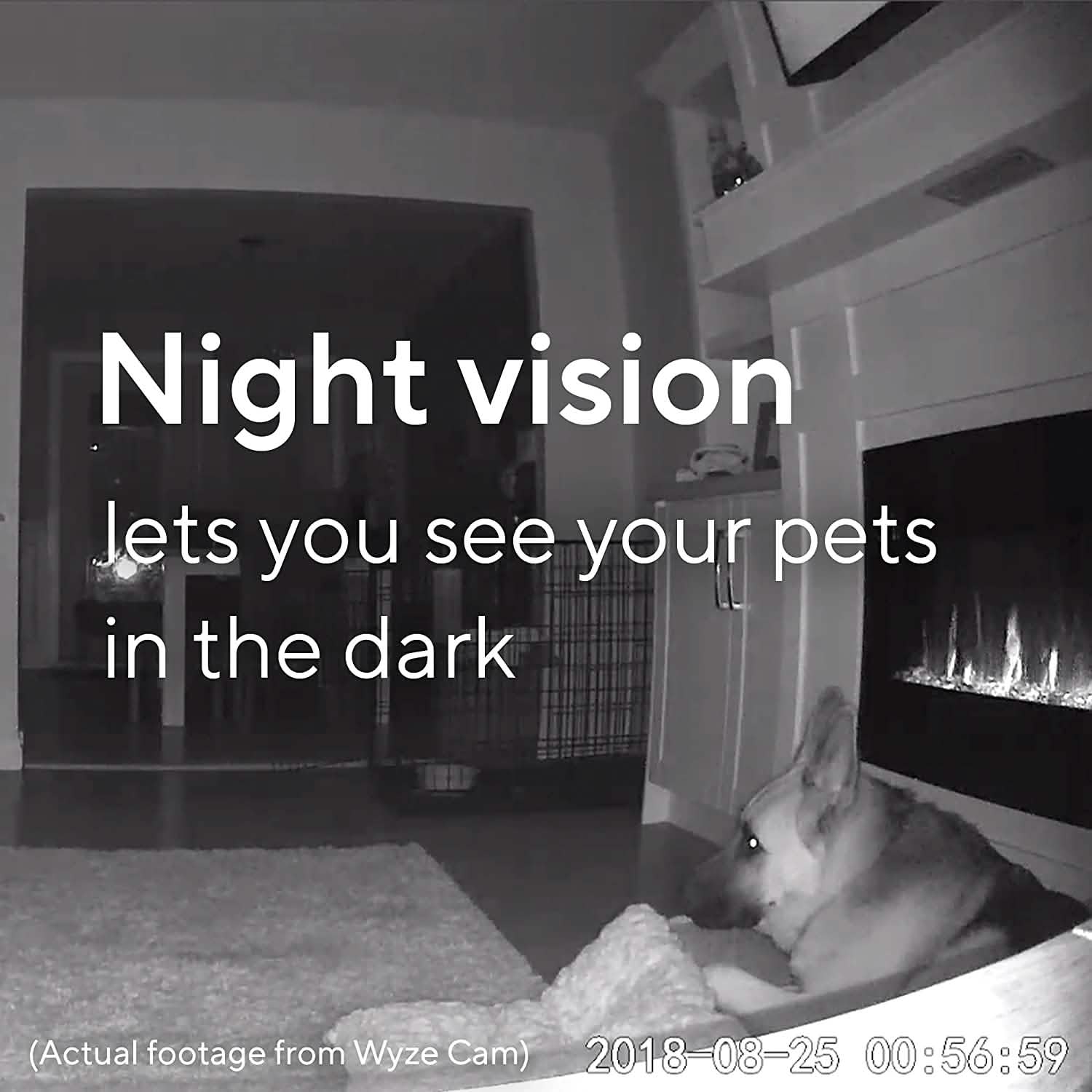 Wyze Cam V2 (Refurbished)
